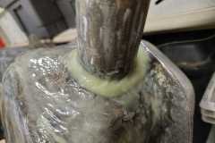 IMG-20250617-WA0002