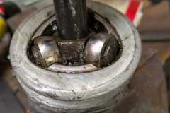 IMG-20251102-WA0021