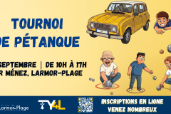 TY4L - Petanque Vignette Hello Asso - 1